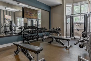 a fitness room with weights machines and windows at the enclave at university crossings apartments at The Pointe at St. Joseph Apartments, South Bend, Indiana